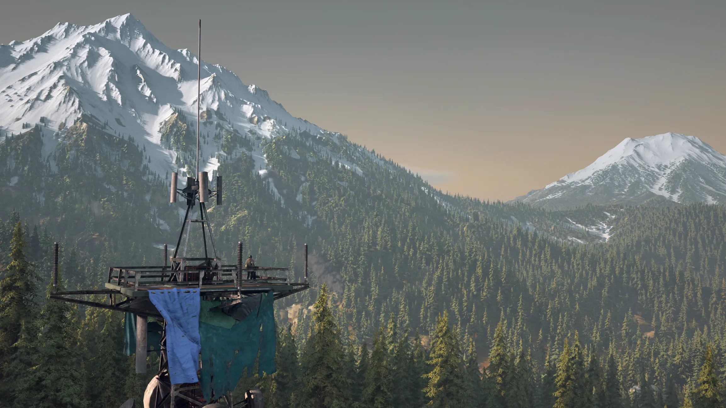 Days Gone