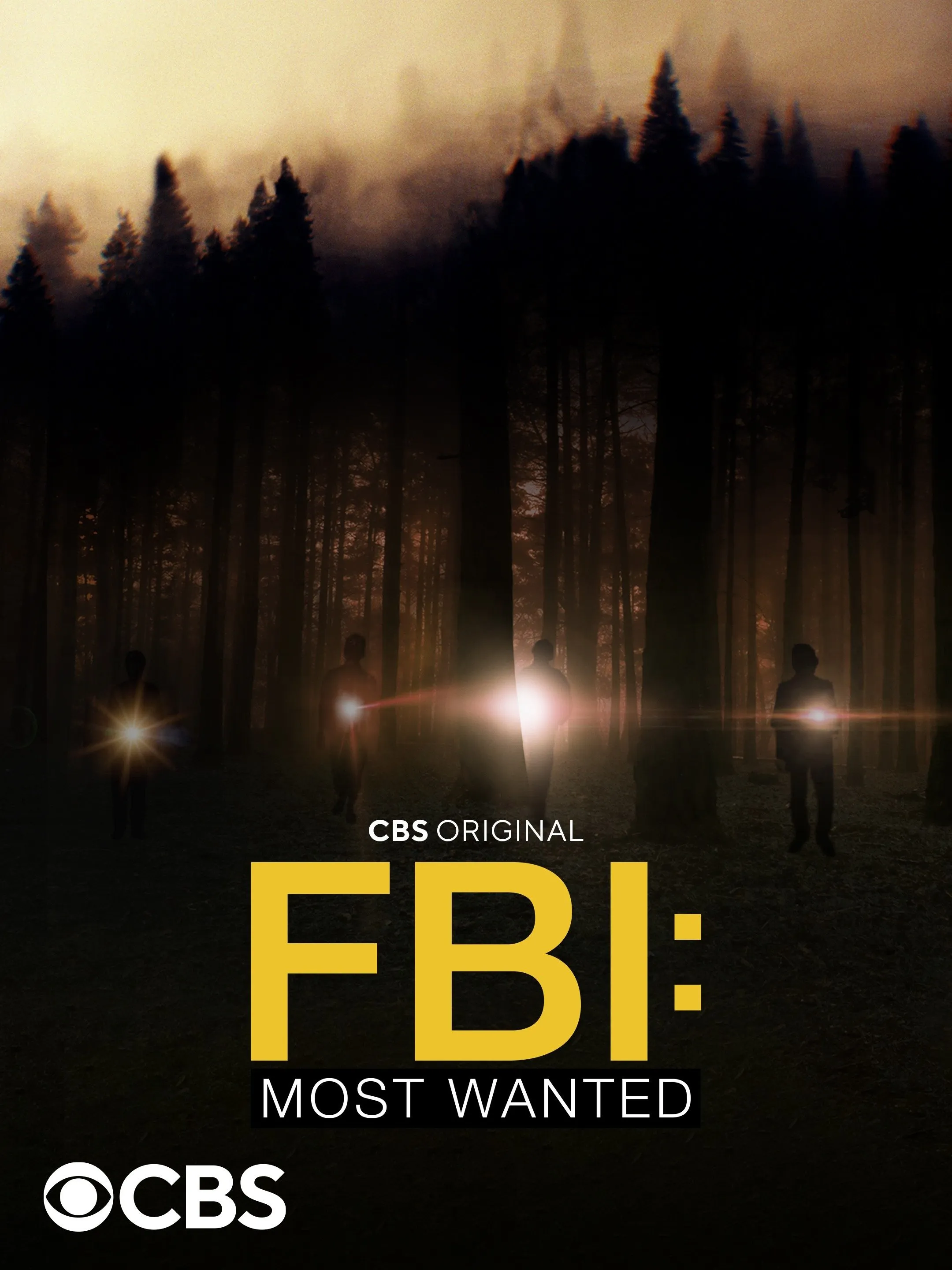 FBI: Most Wanted